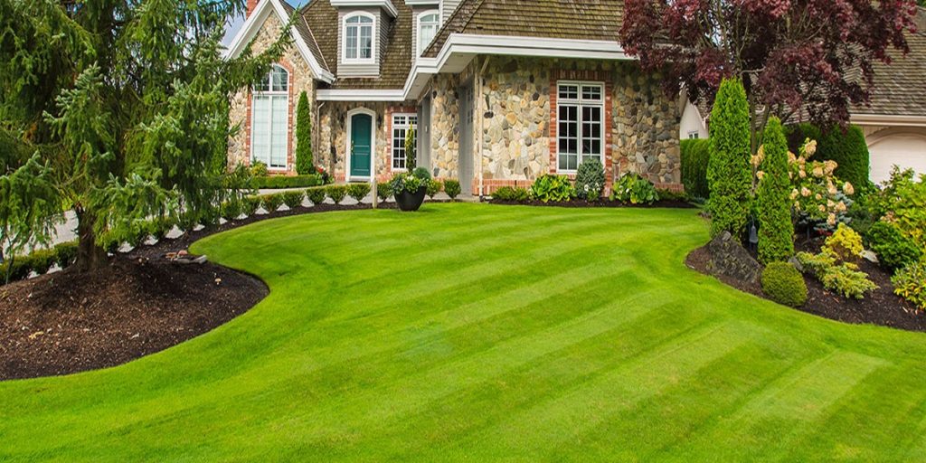 LAWNCARE