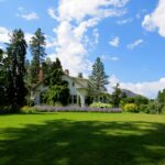 pexels-dianne-60973-226407