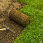 Gardener applying turf rolls in the backyard