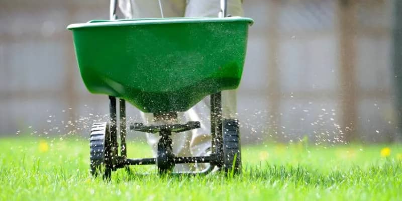 when-should-i-fertilize-my-lawn-in-nj